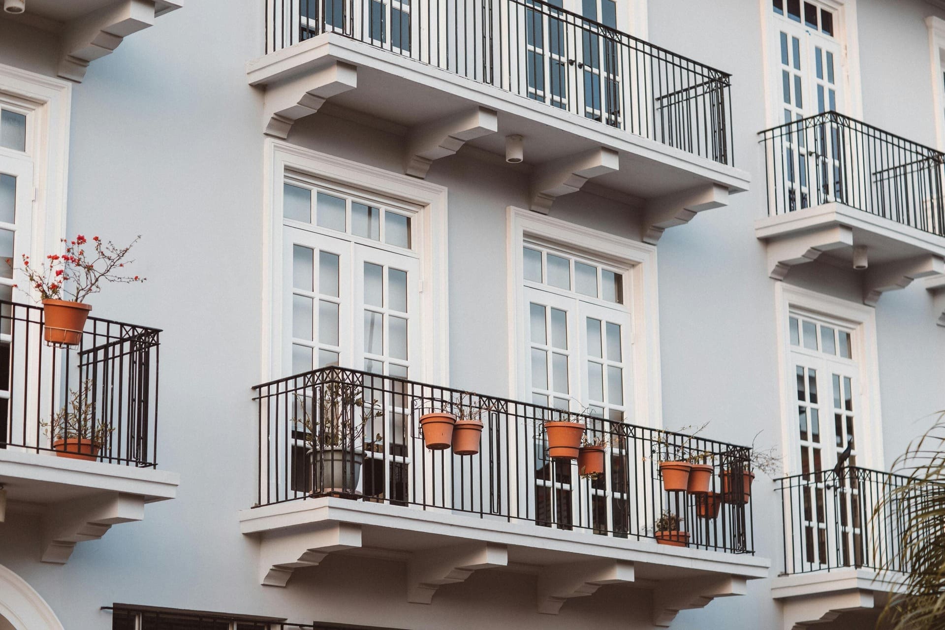 Barbabé - Coaching Immobilier